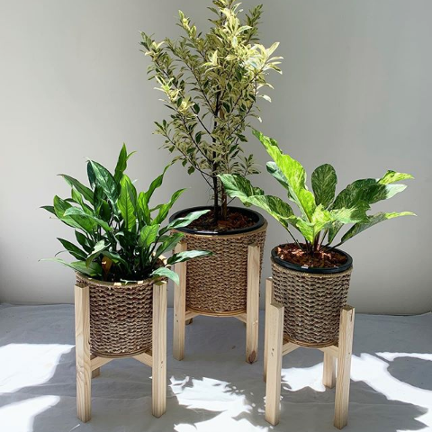 Bamboo Wicker & Banana Fibre Plant Stands